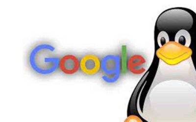 El Google Penguin